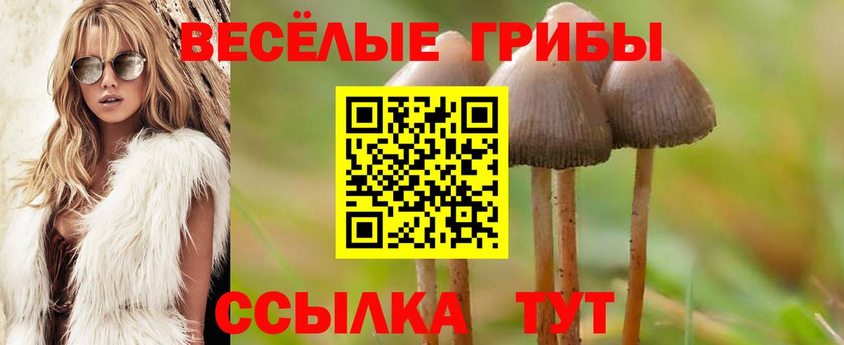 Псилоцибиновые грибы мухоморы  Вход с VPN  Вязьма 