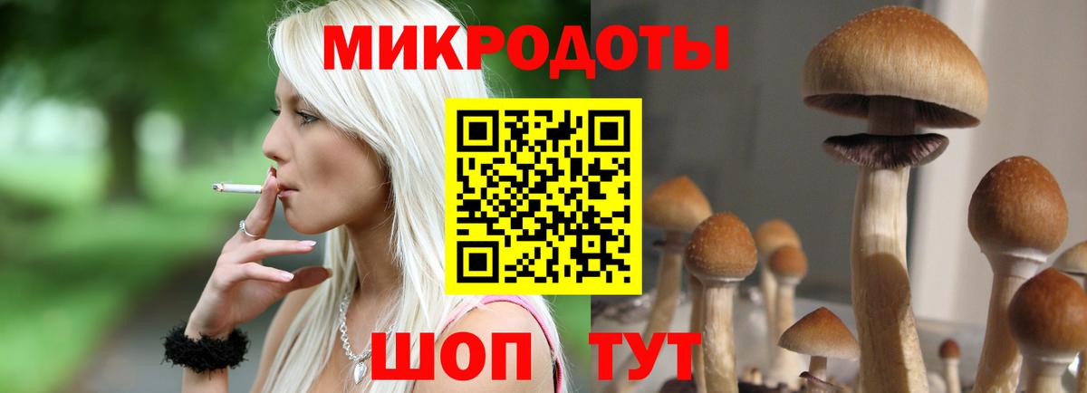 Галлюциногенные грибы прущие грибы Вязьма